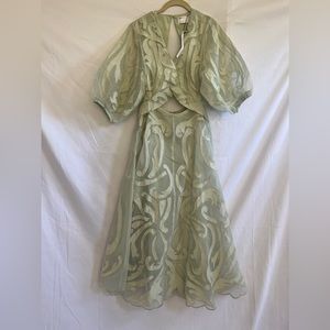 BNWT  ASOS Limited Edition Dress